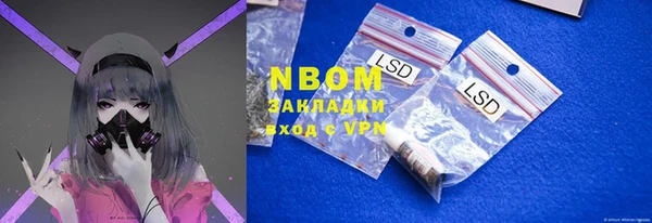 сатива Белокуриха