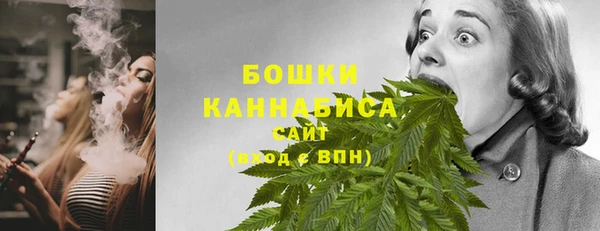 крисы Баксан