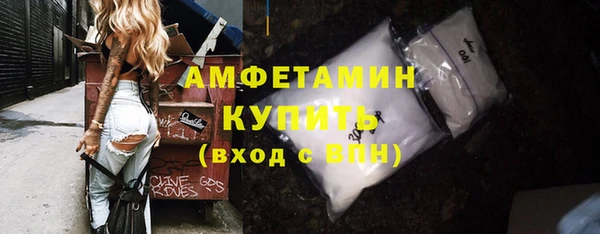 шишки Балахна
