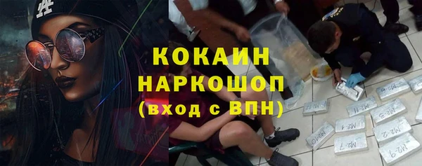крисы Баксан