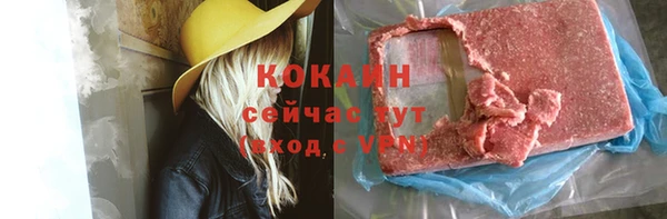 крисы Баксан