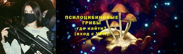 крисы Баксан