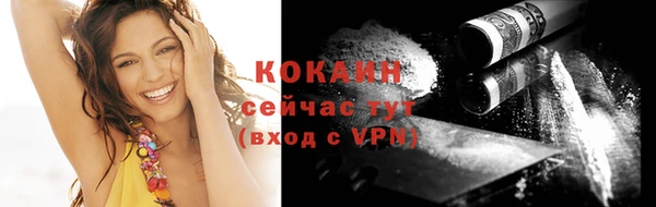 крисы Баксан