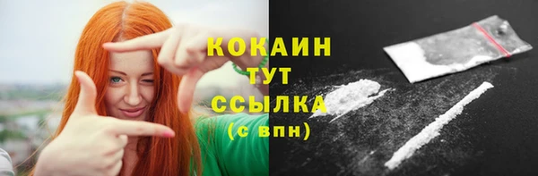 крисы Баксан