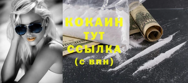 крисы Баксан