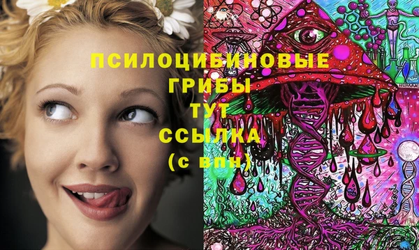 крисы Баксан