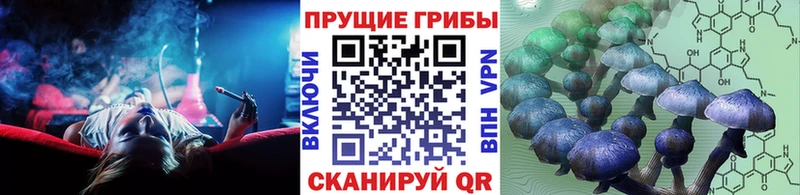 blacksprut как зайти  цены   Маркс  Псилоцибиновые грибы MAGIC MUSHROOMS 